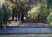 Imagine atasata: Image0043.jpg